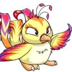 Meet your Posher, Caitlin